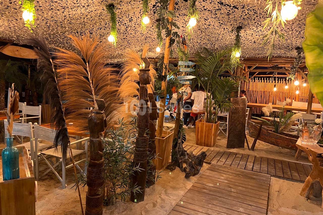 Espace extérieur décoré de plantes, bois et lumières suspendues, avec sol en sable et ambiance chaleureuse.