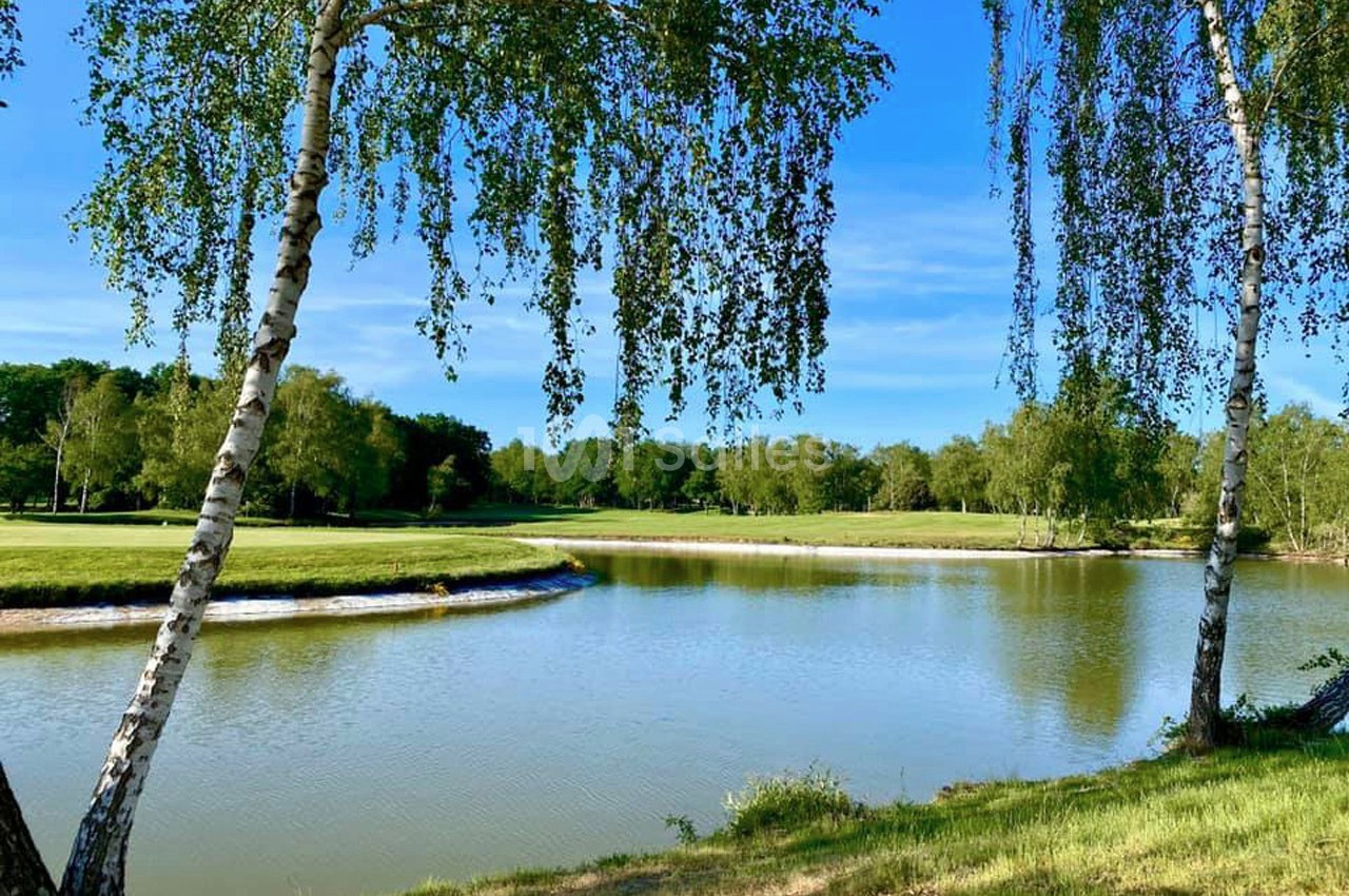 Plan d'eau entouré de pelouses et d'arbres, avec deux bouleaux au premier plan sous un ciel bleu.