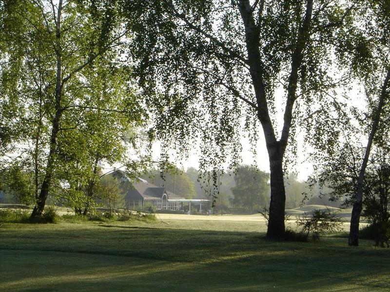 Paysage champêtre avec des arbres au premier plan et une maison entourée de verdure en arrière-plan.