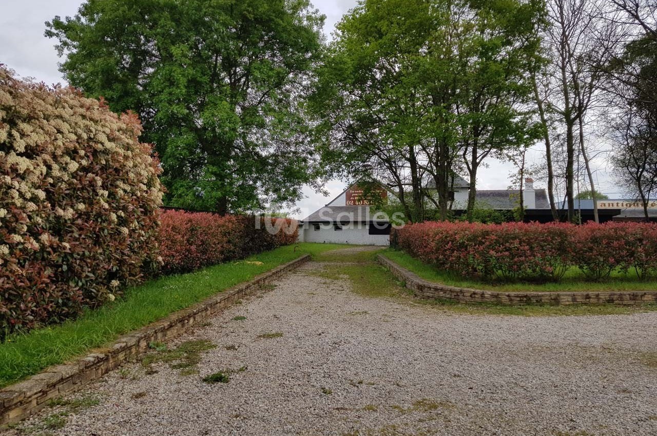Allée en gravier bordée de haies fleuries menant à un bâtiment blanc entouré d'arbres.