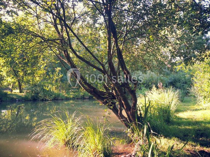 Domaine Du Petit Marais - galerie - photo 8