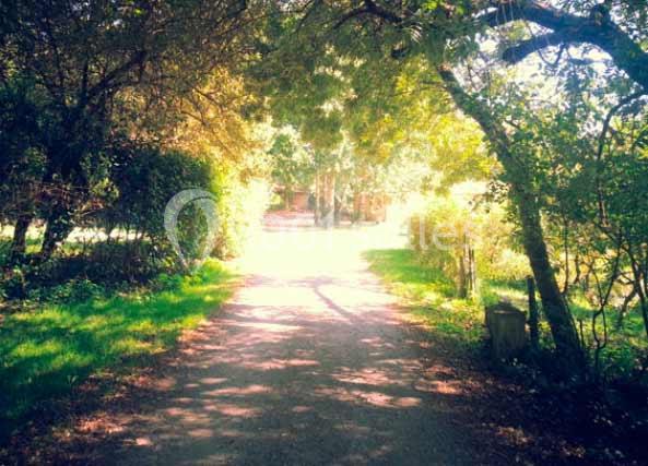 Domaine Du Petit Marais - galerie - photo 10