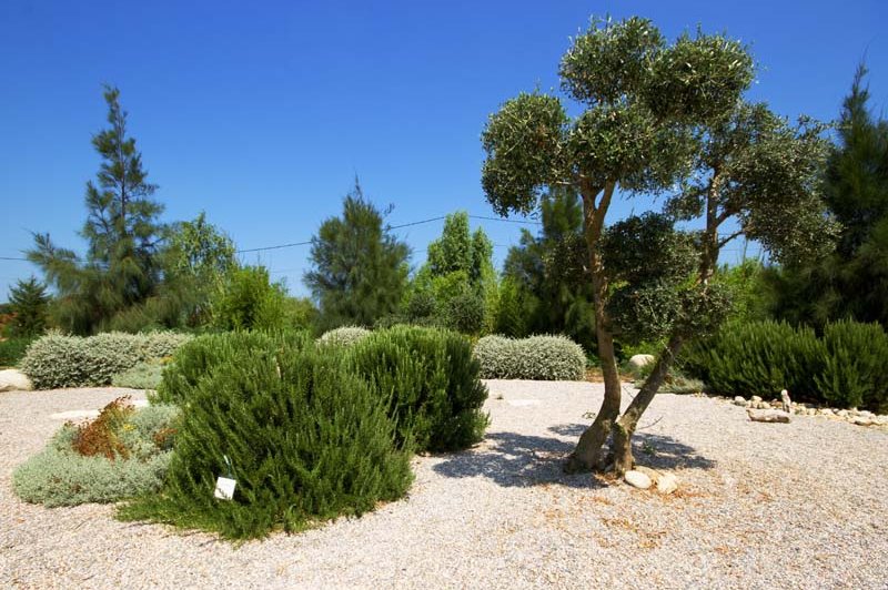 Le Jardin D'ariane - photo 1