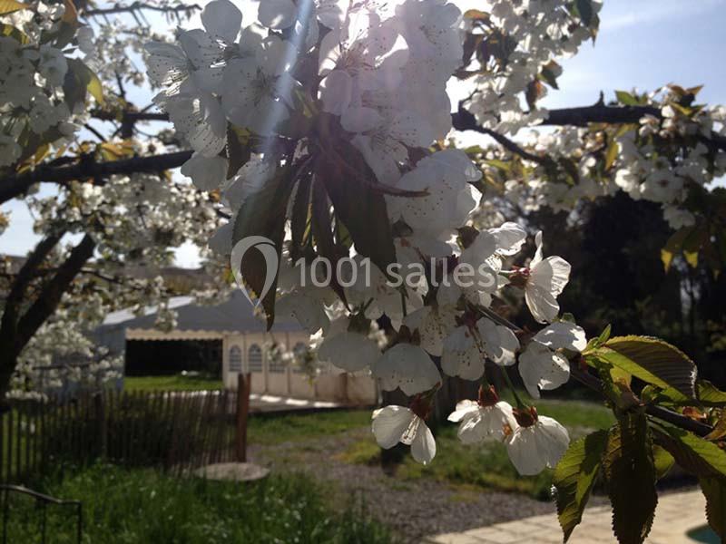 La Cave Des Anges - galerie - photo 10