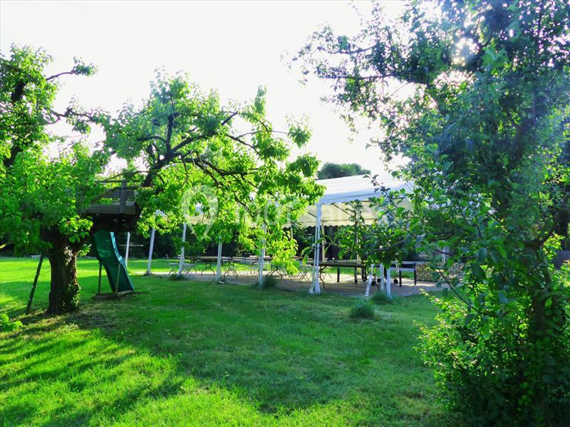 La Cave Des Anges - galerie - photo 14