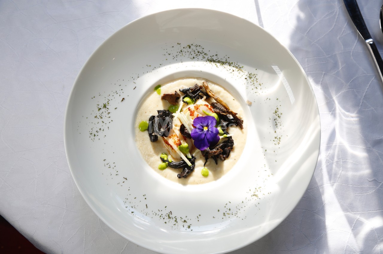 Assiette de soupe crémeuse garnie de champignons, herbes, crème, et une fleur comestible violette.