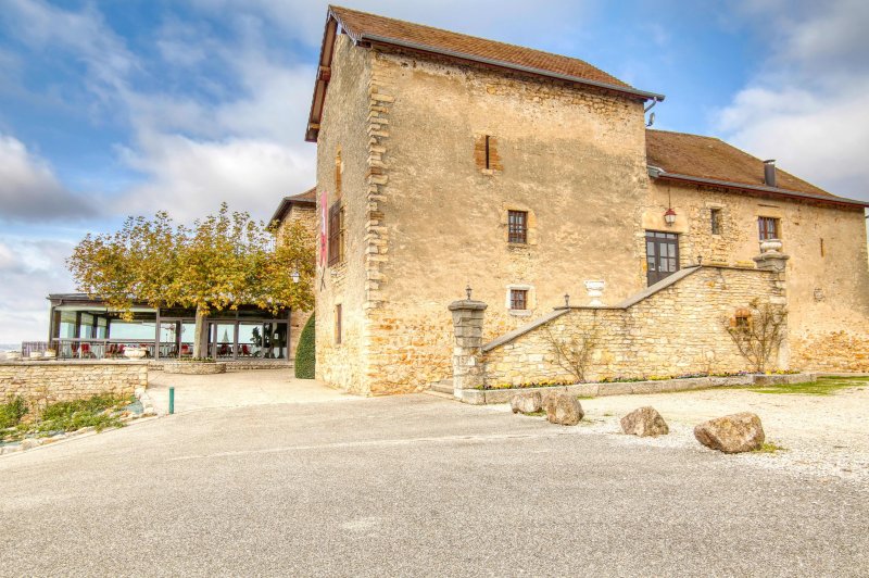 Château de Saint Julien - photo 2