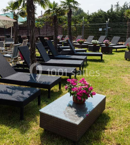 Chaises longues noires alignées sur une pelouse avec des palmiers et une table basse ornée de fleurs roses.