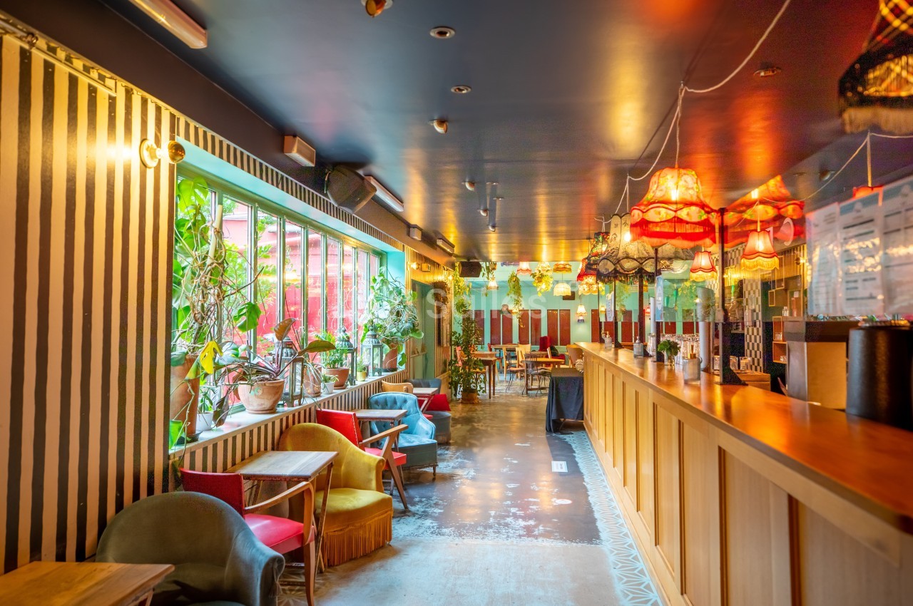 Intérieur d'un café coloré avec un long comptoir en bois, des plantes, des fauteuils et des lampes suspendues.