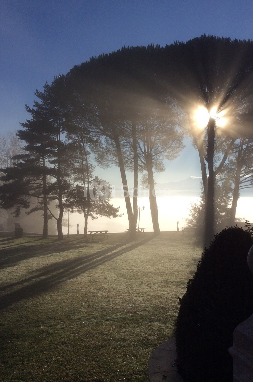 Lever de soleil perçant à travers des arbres dans un parc, avec une légère brume et des ombres allongées au sol.