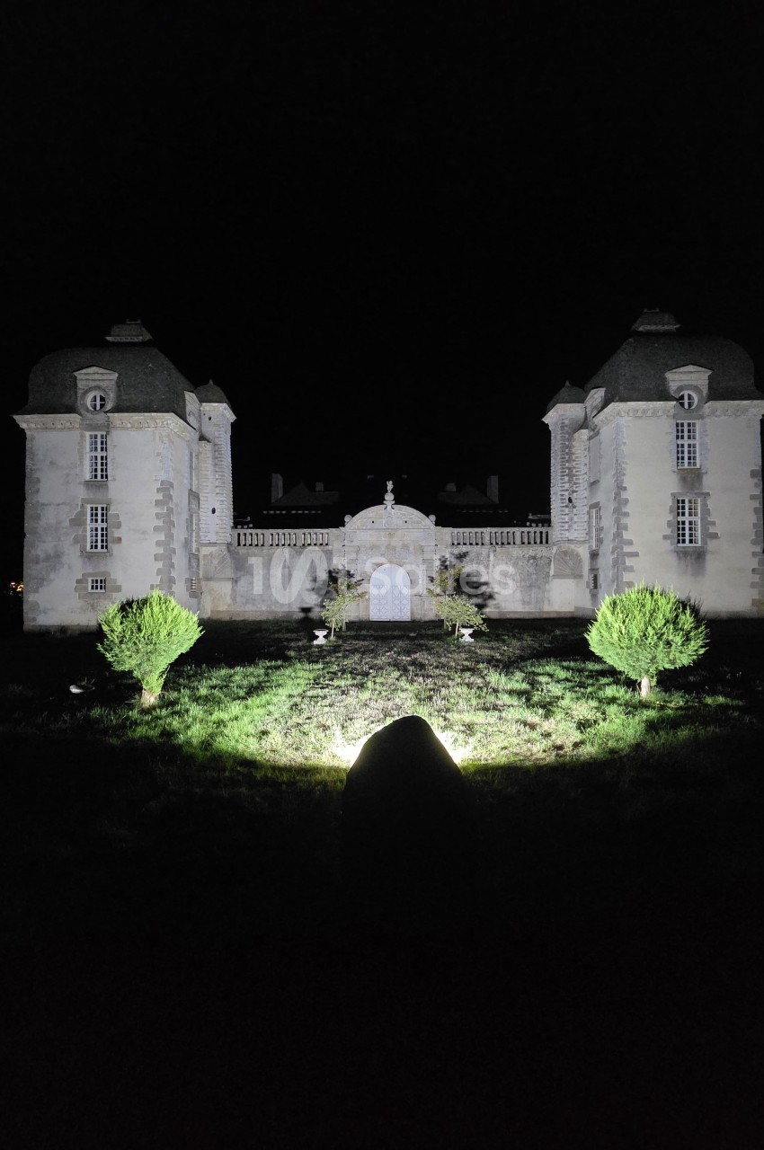 Façade éclairée d'un château à deux tours symétriques, vue de nuit avec des buissons au premier plan.