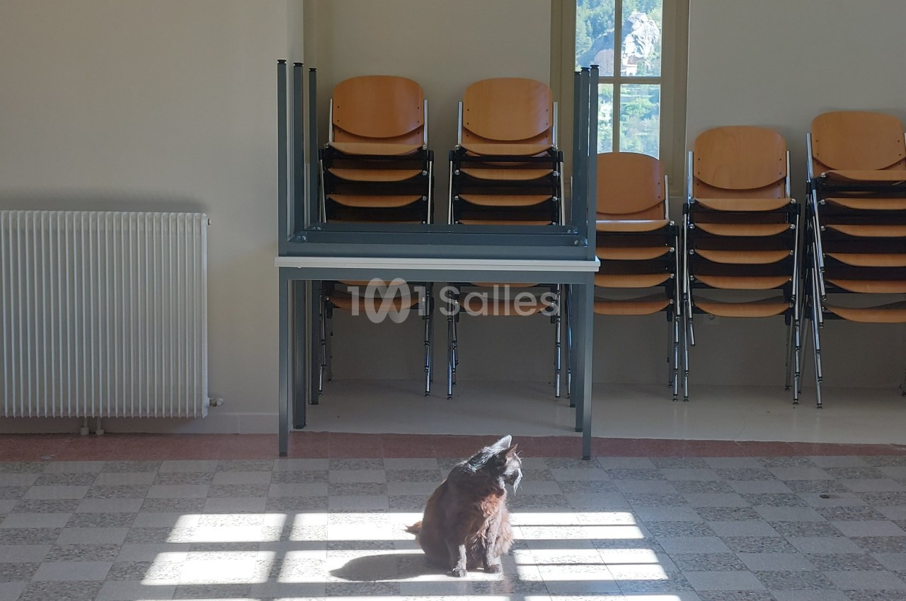Un chat assis dans un carré de lumière au sol, devant une pile de chaises empilées dans une pièce vide.