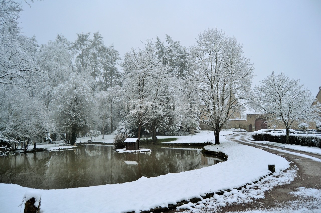 Étang entouré d'arbres et de chemins couverts de neige dans un paysage hivernal calme.