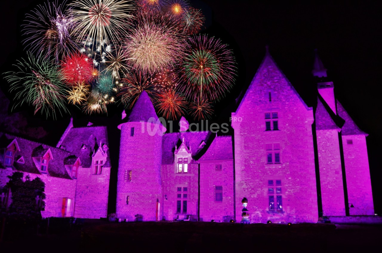 Feu d'artifice coloré illuminant un château éclairé en violet dans la nuit.