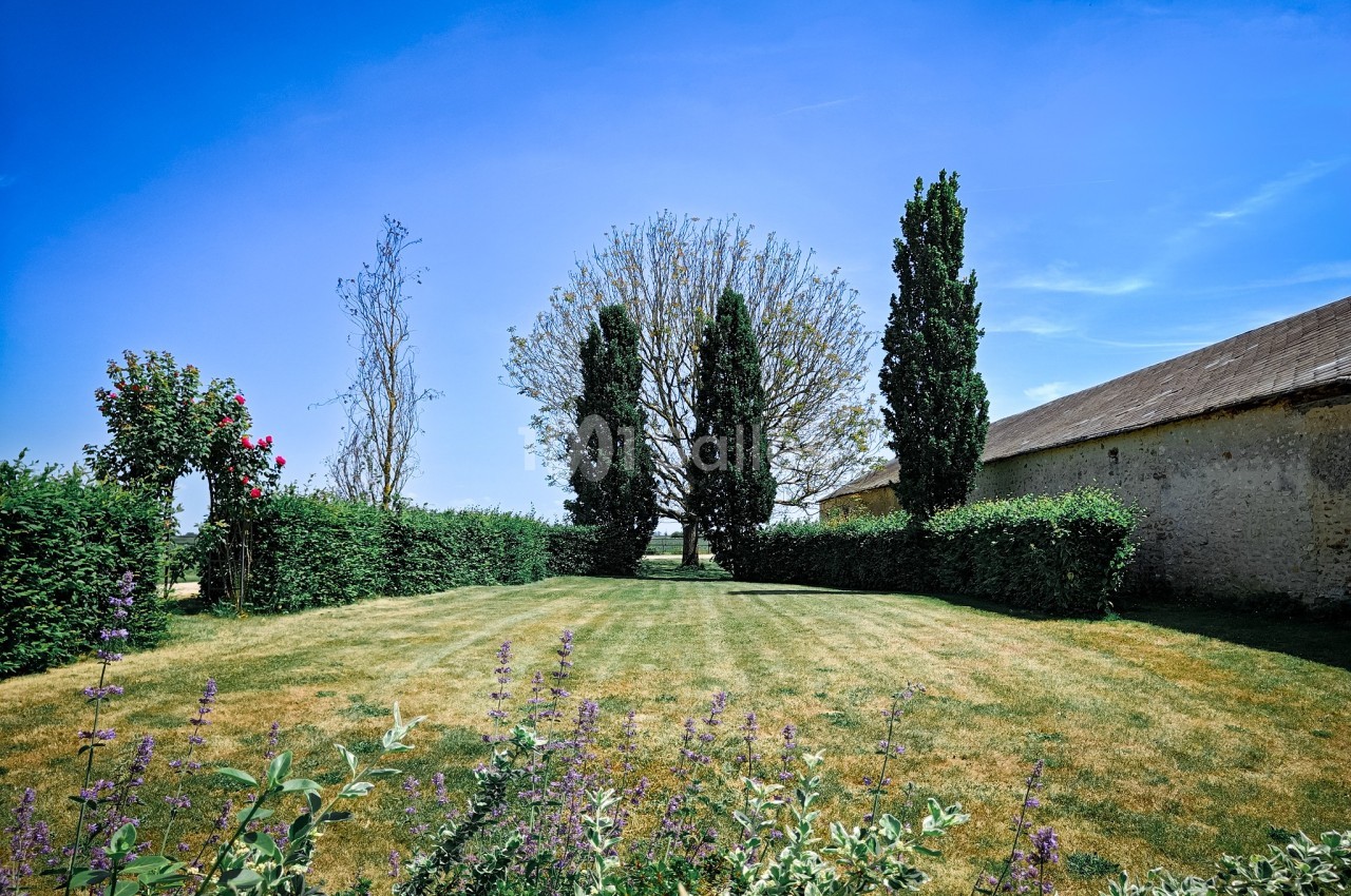Jardin avec pelouse, haies taillées, arbres et ciel bleu, bordé par un bâtiment en pierre à droite.