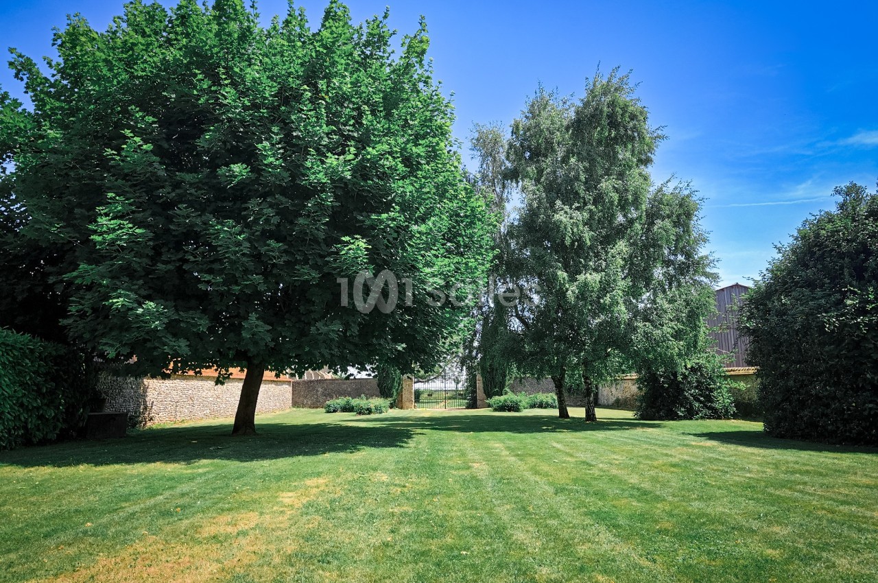 Pelouse verdoyante entourée d'arbres et de haies sous un ciel bleu dégagé.