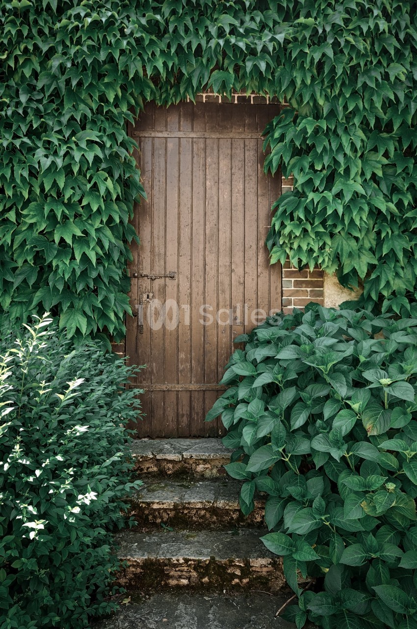 Porte en bois entourée de murs recouverts de feuillage vert, avec des marches en pierre au premier plan.