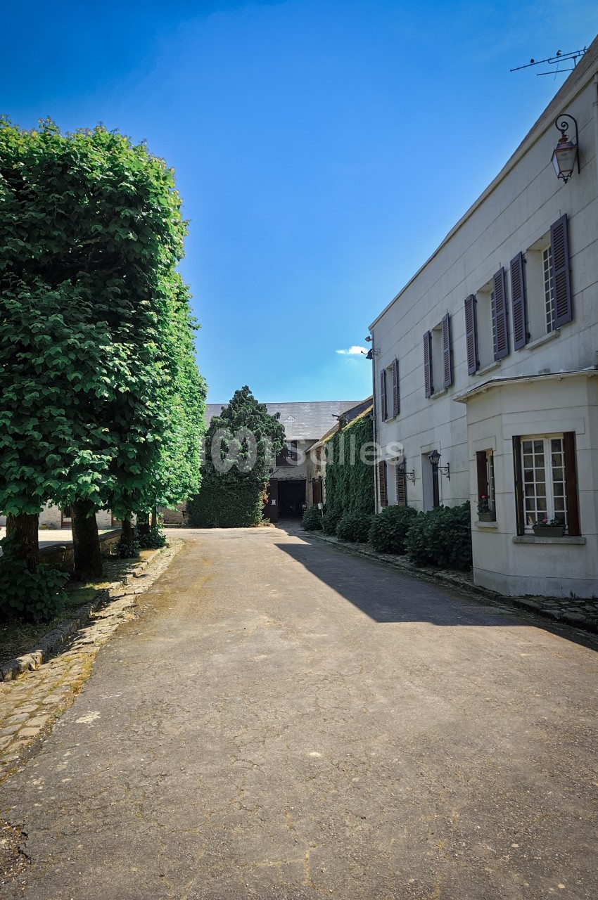 Allée pavée bordée d'arbres et de bâtiments blancs aux volets fermés, sous un ciel bleu dégagé.