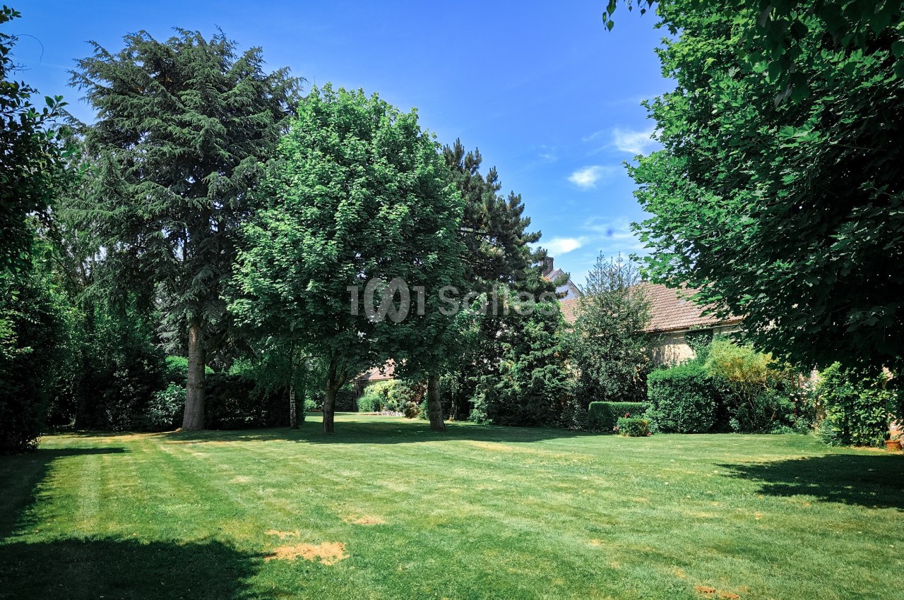 Jardin verdoyant avec pelouse bien entretenue, arbres et arbustes sous un ciel bleu dégagé.