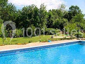 Domaine Du Moulin - photo 5