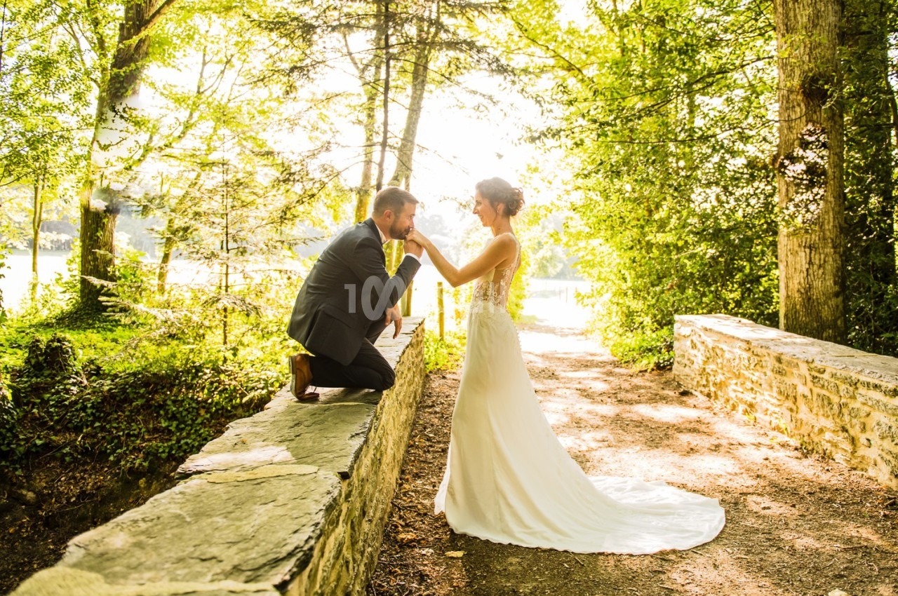 Un marié agenouillé embrasse la main de sa mariée dans un chemin boisé éclairé par le soleil.
