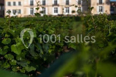 Château De Meursault - photo 3