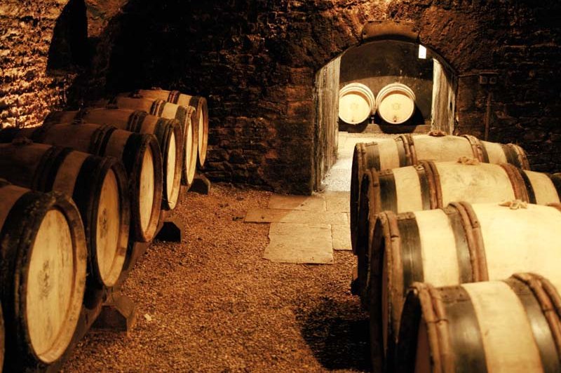 Château De Meursault - photo 3