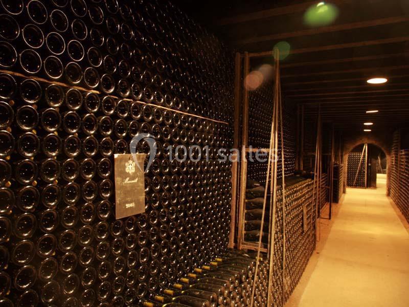 Château De Meursault - galerie - photo 13