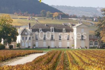 Château De Meursault - photo 3