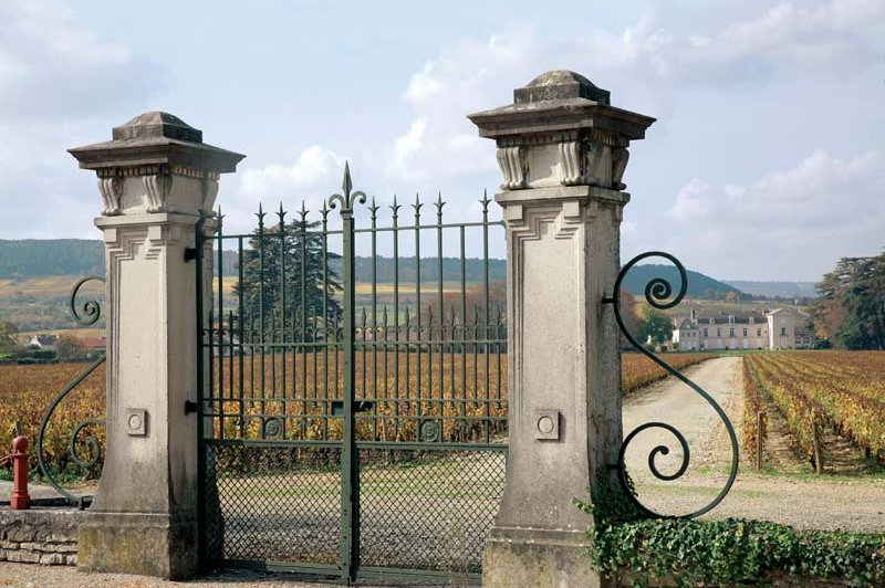 Château De Meursault - photo 5