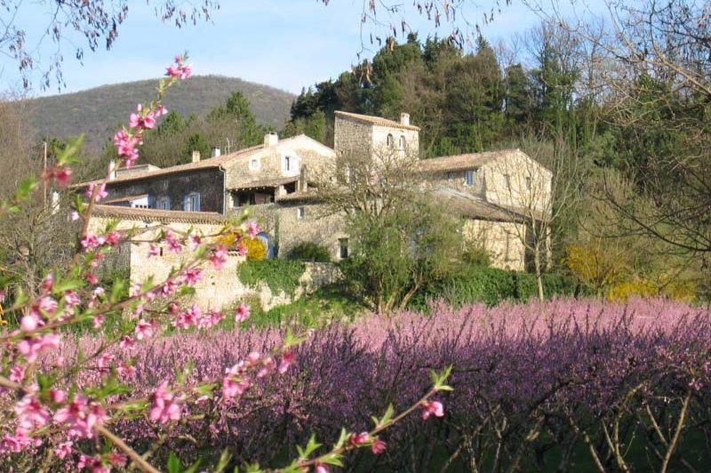 Domaine Les Fougères - photo 3