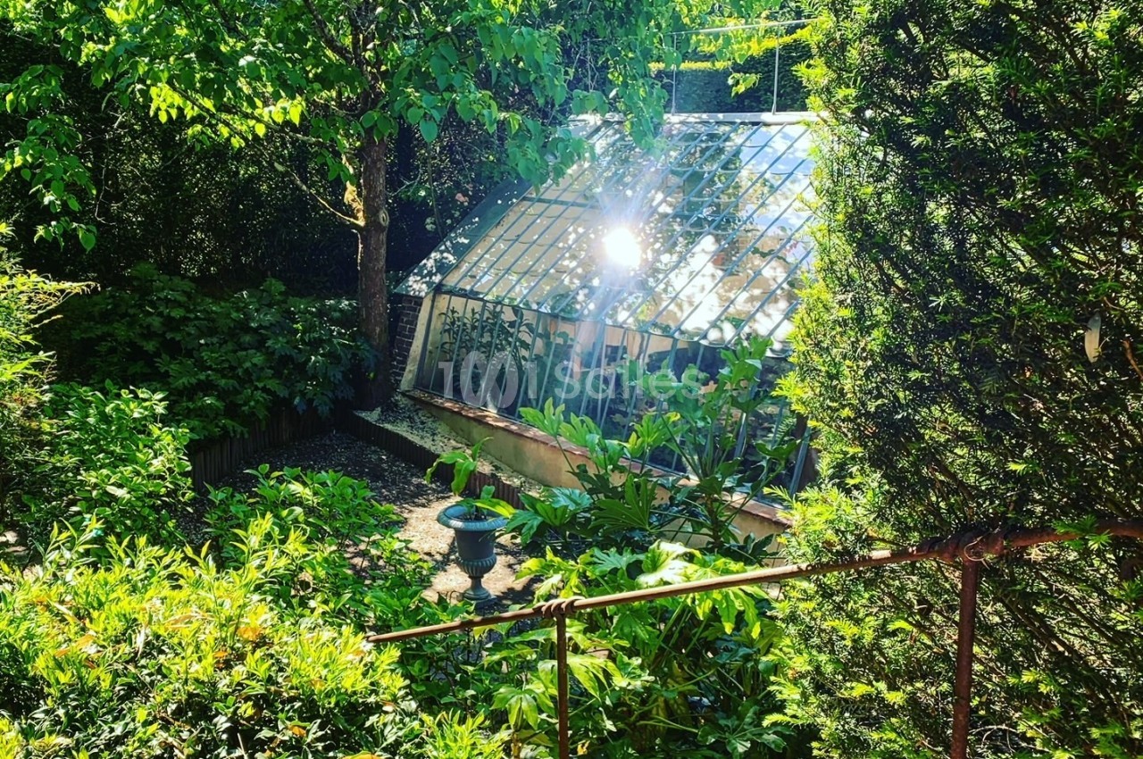 Serre vitrée entourée de végétation luxuriante sous une lumière ensoleillée.