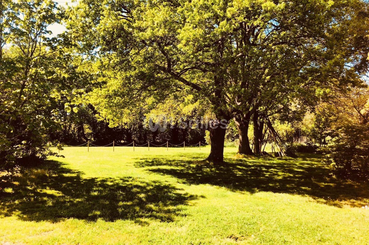 Domaine des Colombes - galerie - photo 10