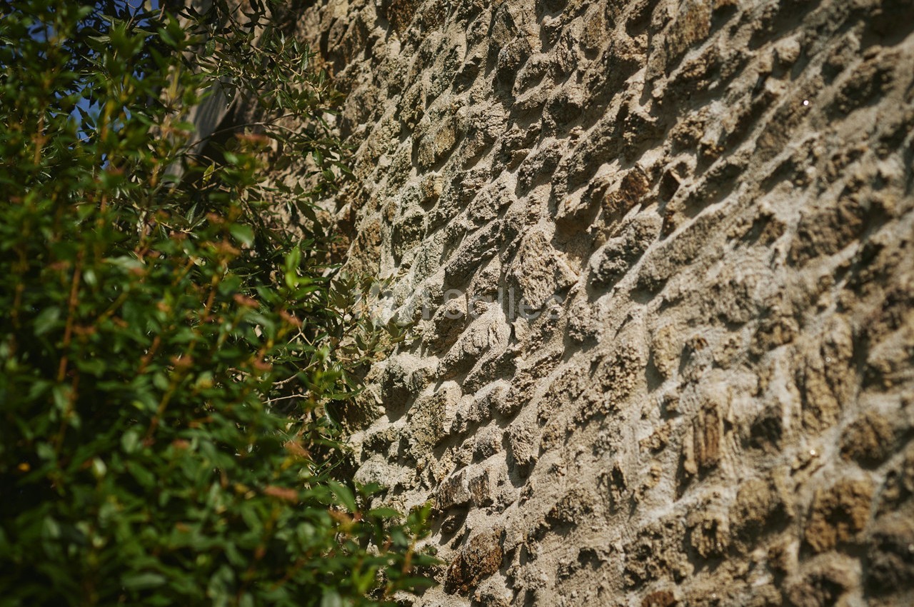 Domaine des Colombes - galerie - photo 24