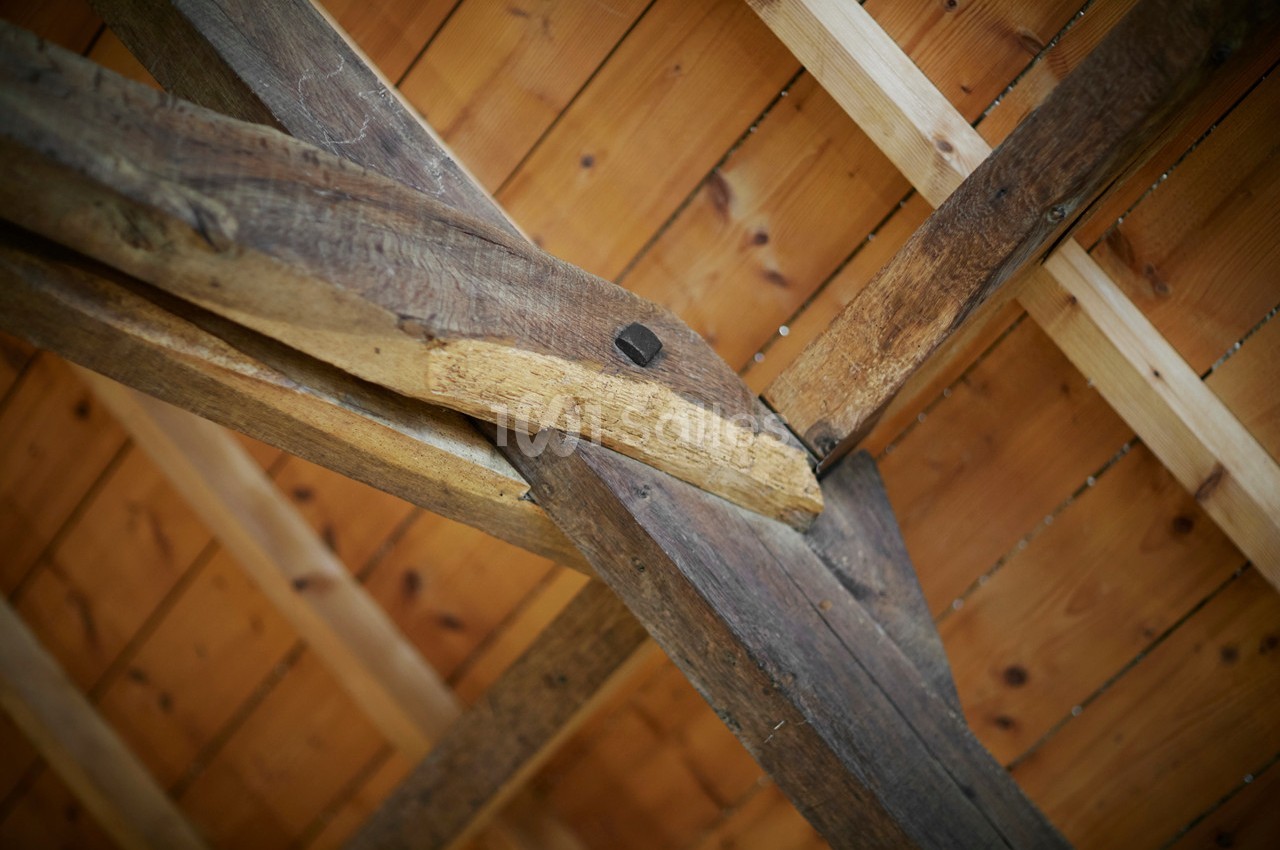 Domaine des Colombes - galerie - photo 56