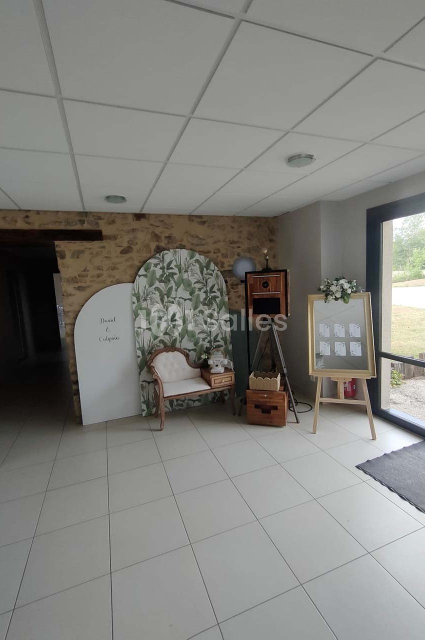 Coin décoratif avec fauteuil, paravent végétal, appareil photo vintage et tableau d'affichage près d'une baie vitrée.