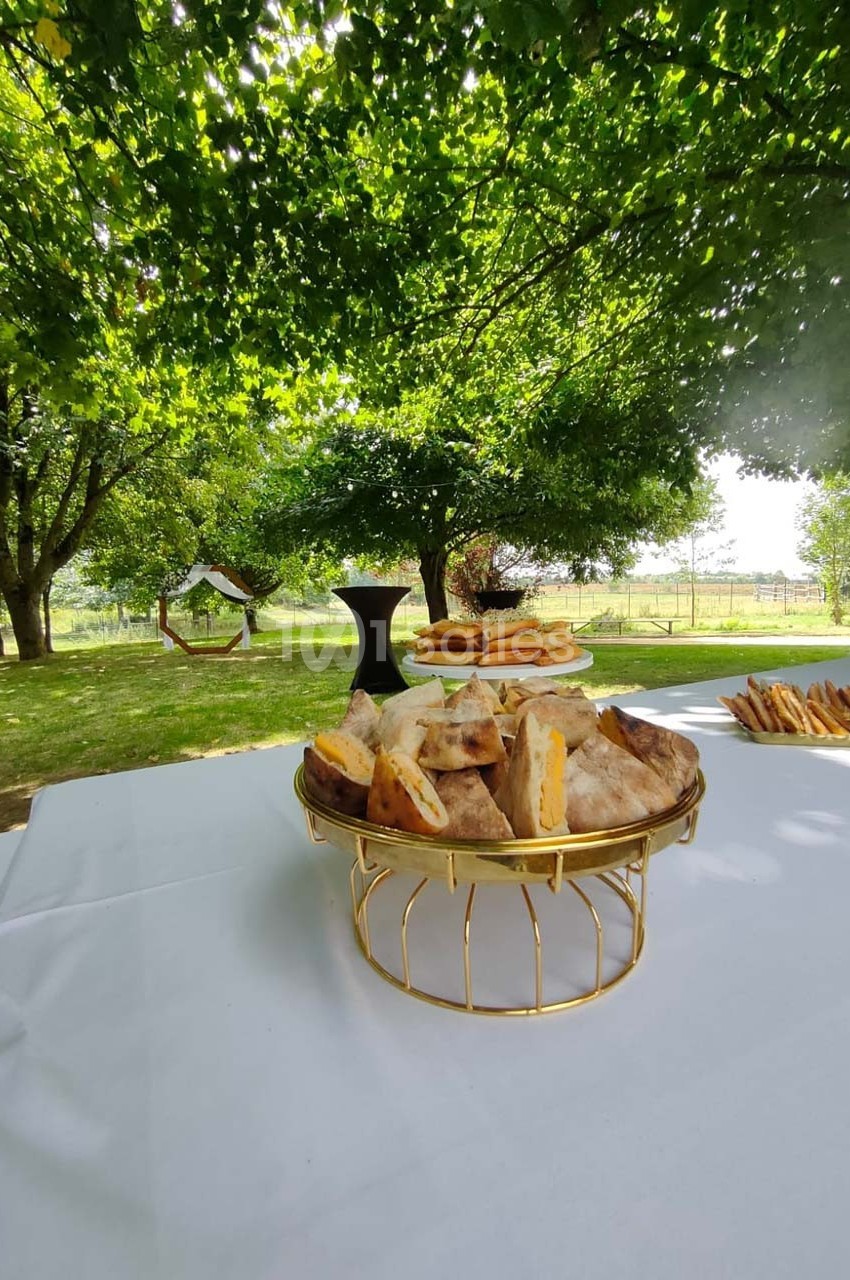 Plateau de sandwichs disposé sur une table blanche en extérieur, sous des arbres dans un cadre verdoyant.