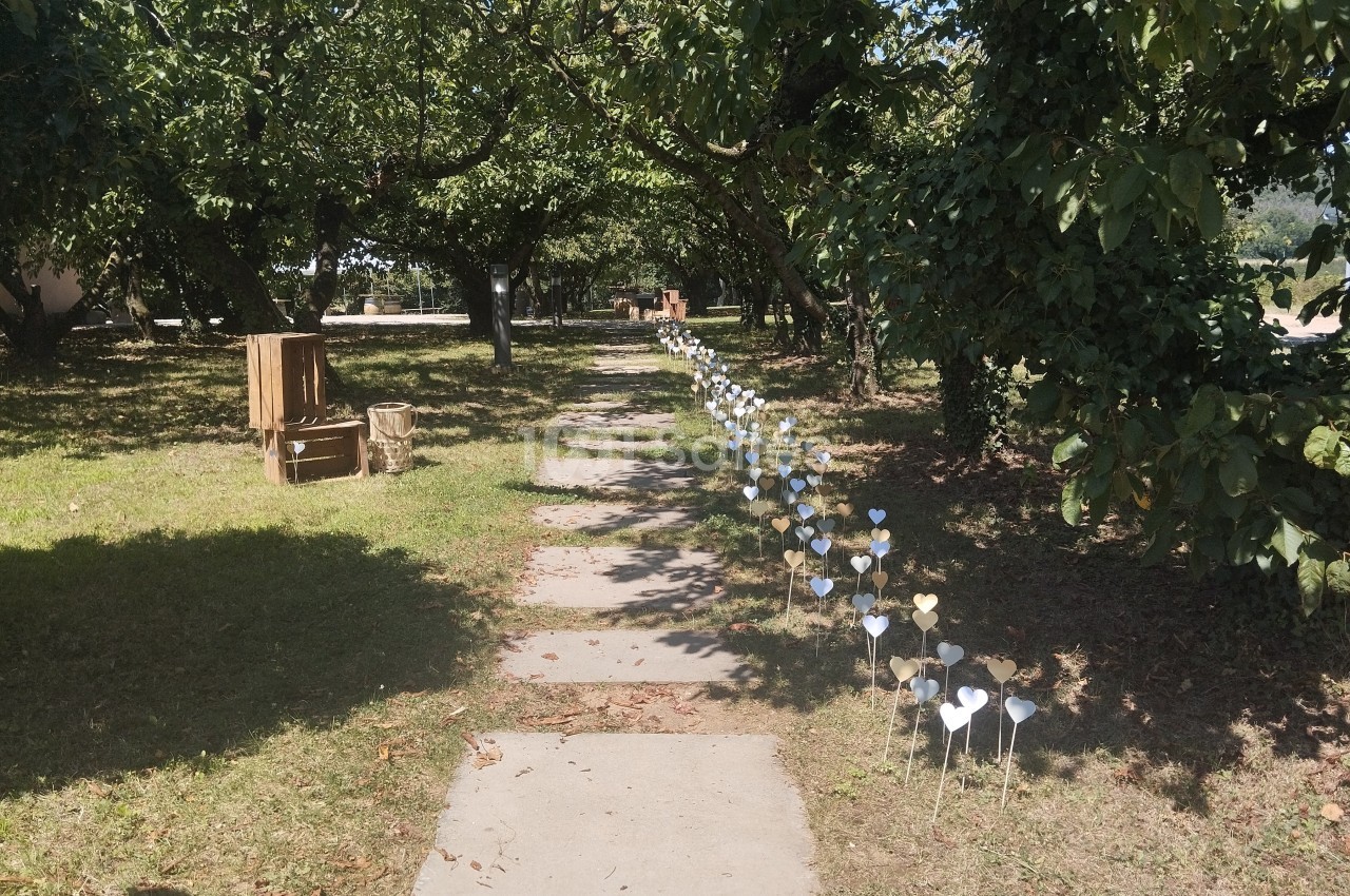 Allée de dalles entourée d'arbres, bordée de petits cœurs blancs plantés dans l'herbe, avec des caisses en bois à gauche.