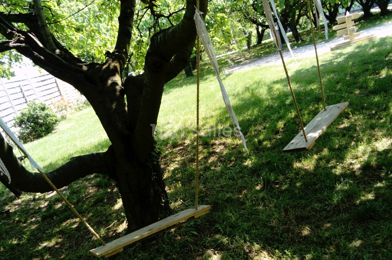 Deux balançoires en bois suspendues à un arbre dans un jardin ombragé.