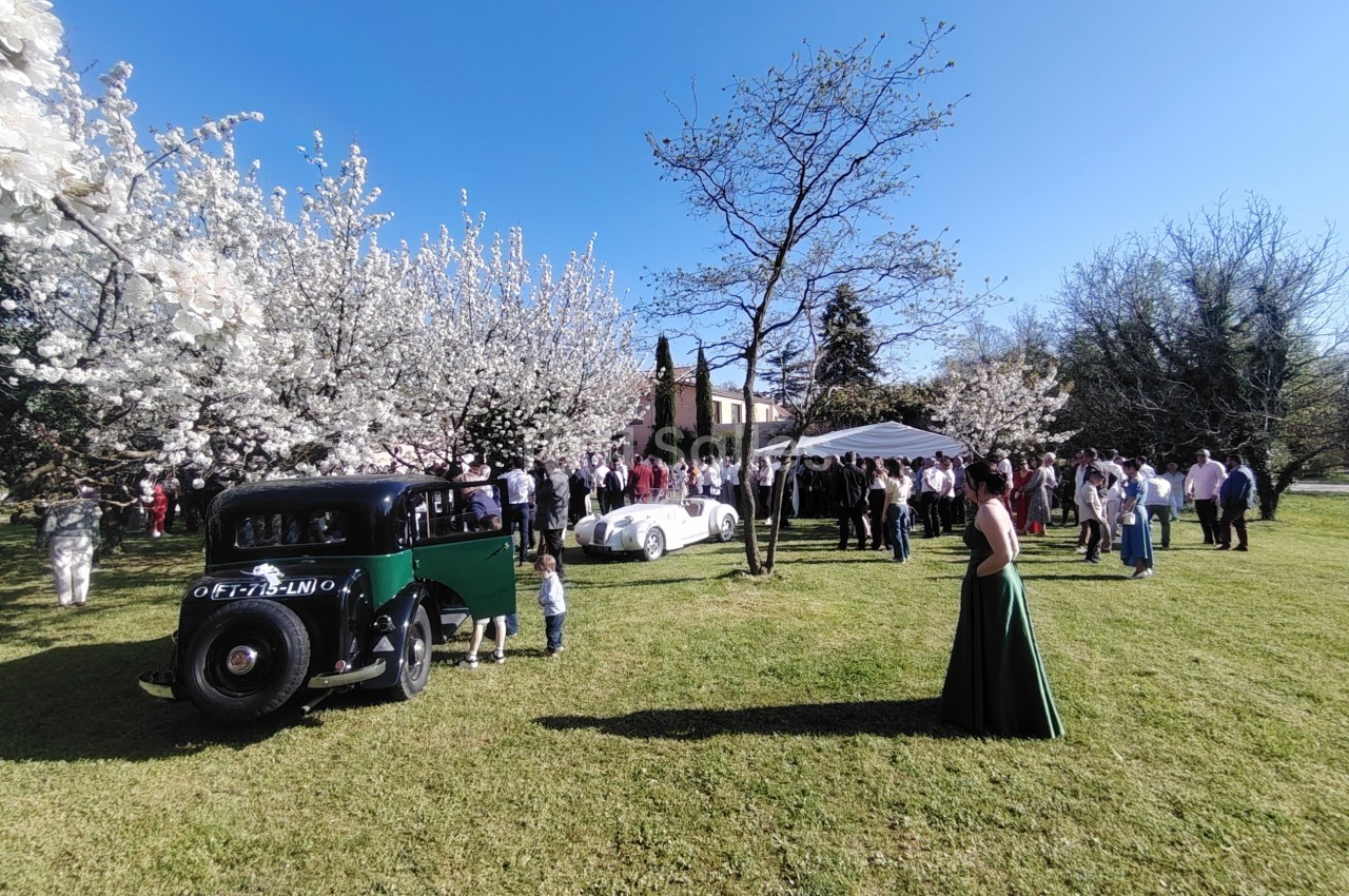 Personnes rassemblées dans un jardin ensoleillé, entourées d'arbres en fleurs et de voitures anciennes.