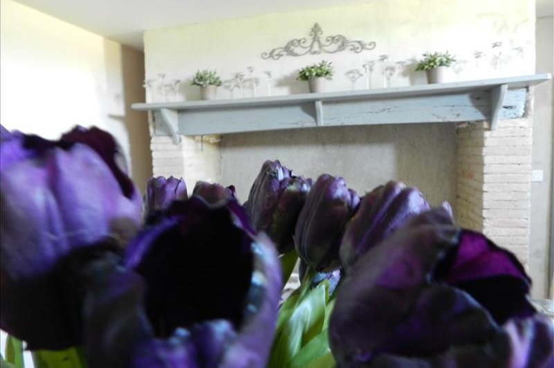 Manoir Des Barrayrous - photo 4