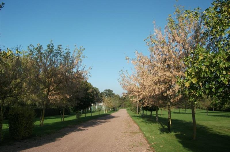 Domaine Du Mont Hulin - photo 5