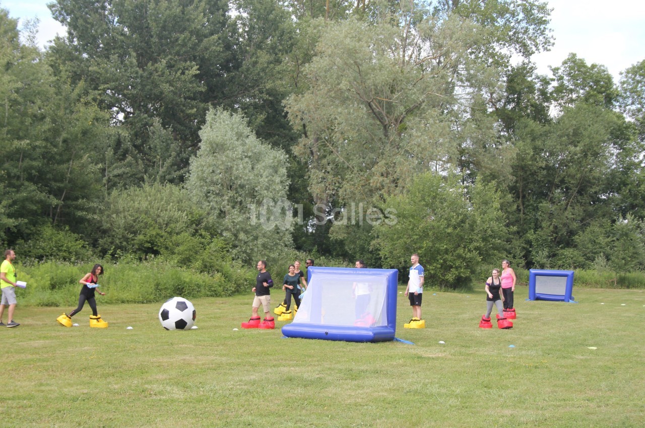 Des personnes participent à un jeu en plein air avec un ballon géant et des buts gonflables sur une pelouse entourée d…