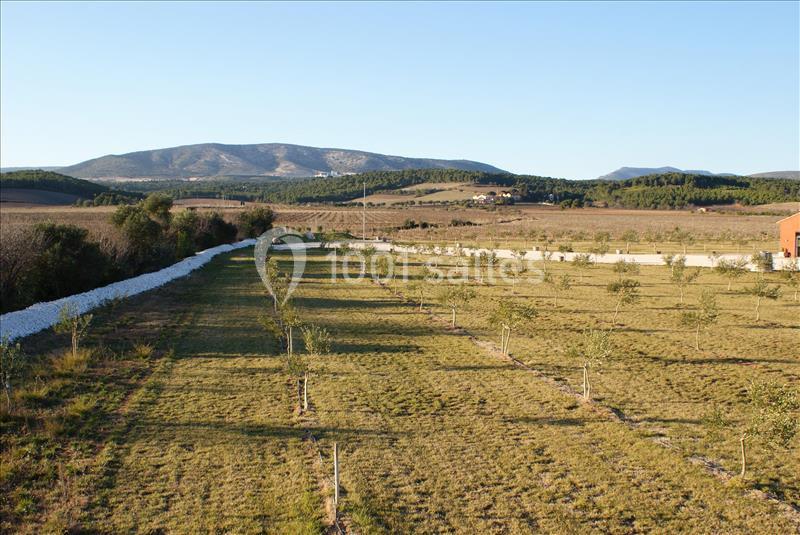 Domaine Cayrol - galerie - photo 14