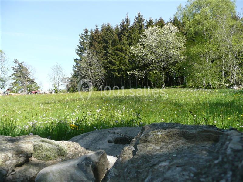 Domaine Des Saveurs D'antan, La Pervenchère - galerie - photo 17