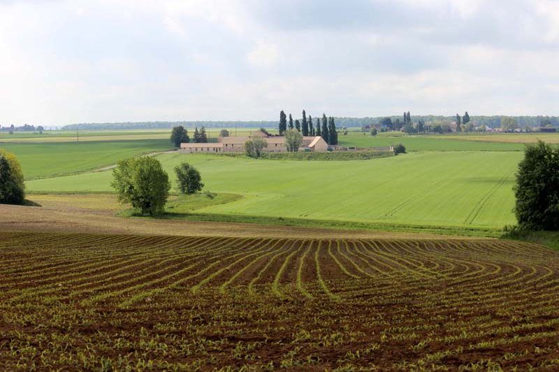Domaine De La Ferme De Grisien - photo 5