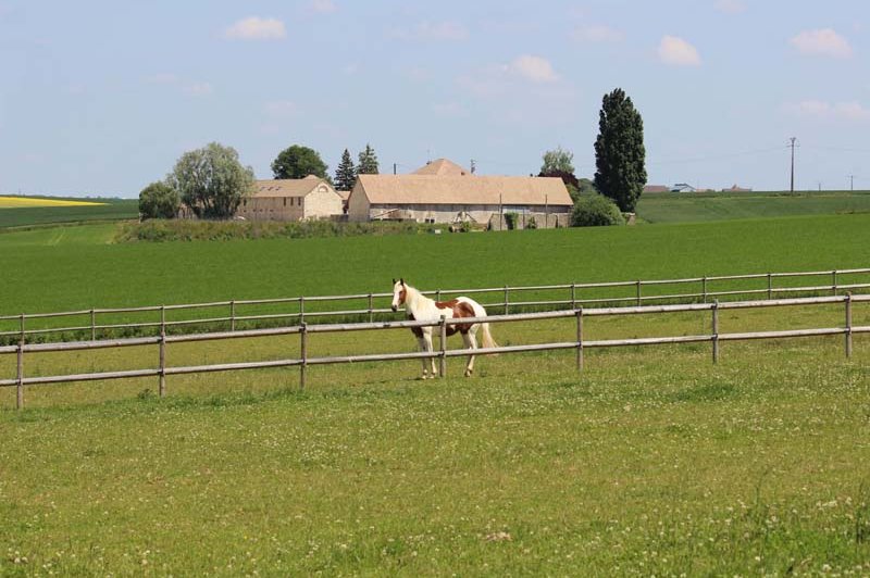Domaine De La Ferme De Grisien - photo 1