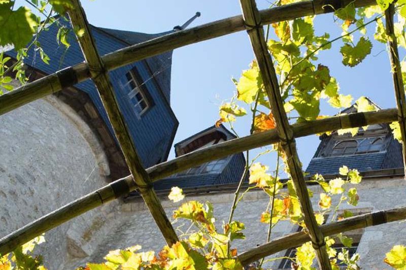 Château De Beaugency - photo 4