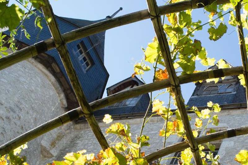 Château De Beaugency - photo 5