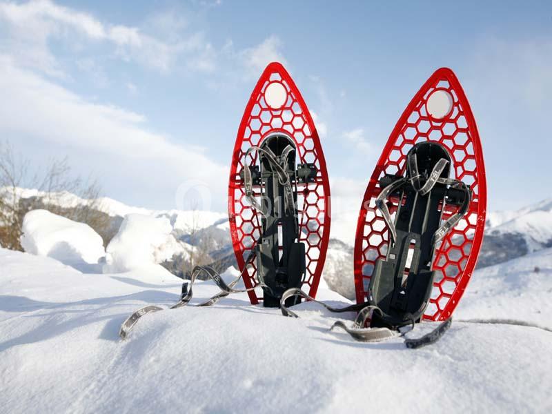 Sancy Resort - galerie - photo 17
